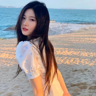 海豹自卫队